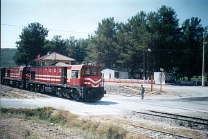 The front engine is DE18118, the other one is a DE18000, most probably 18003, at Camlık Station. 2001. Photo Altan Ataman