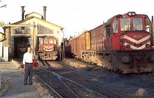 DE24264 (right), DE24185 (right), Elazig depot, June 2001. Photo G. Tunçbilek